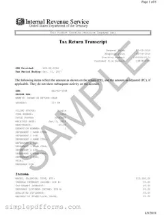 Fill a Valid Sample Tax Return Transcript Form